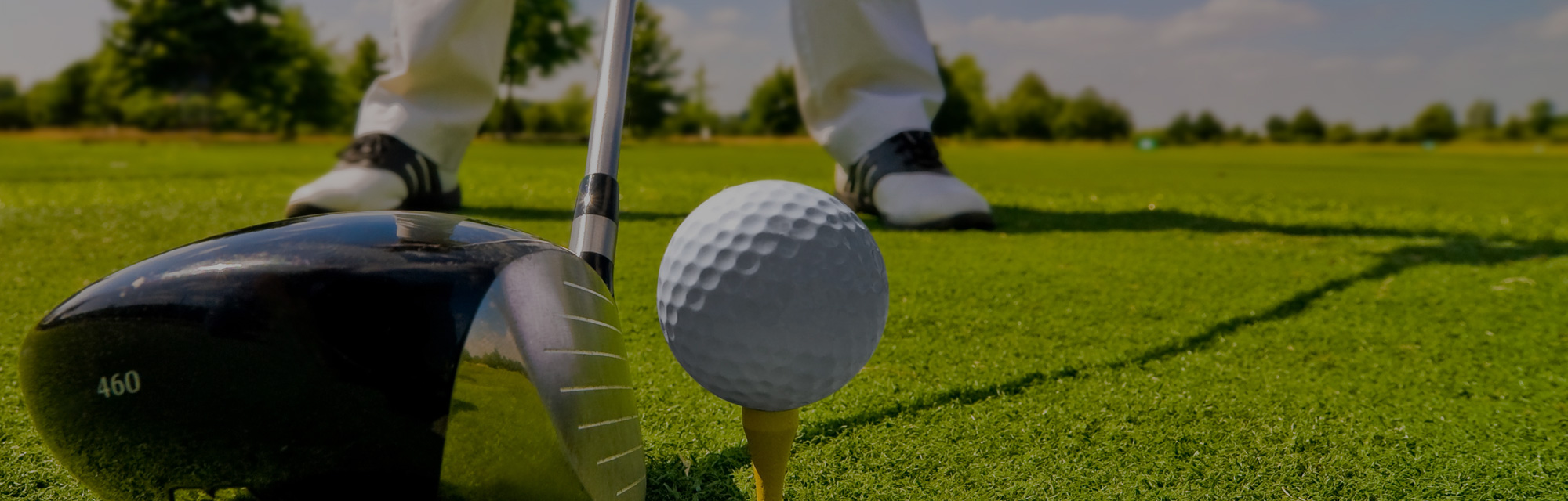 골프 이미지